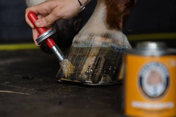 Olej do kopyt Doctor Horse Mocne kopyta