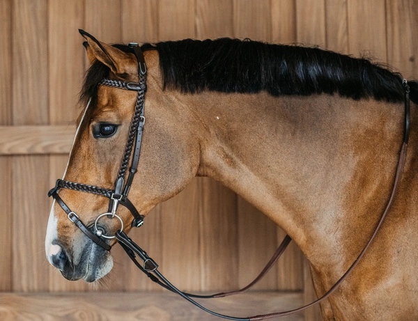 Ogłowie Dy'on Working Plaited z haczykami - brązowe