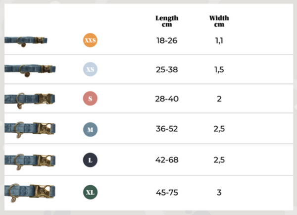 Obroża Kentucky Zebra