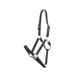 Kentucky kantar Nylon Halter Breakaway - czarny