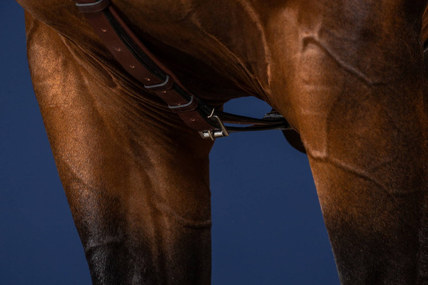 Skórzany napierśnik  Dy'on Long Bridge Breastplate US Jumping