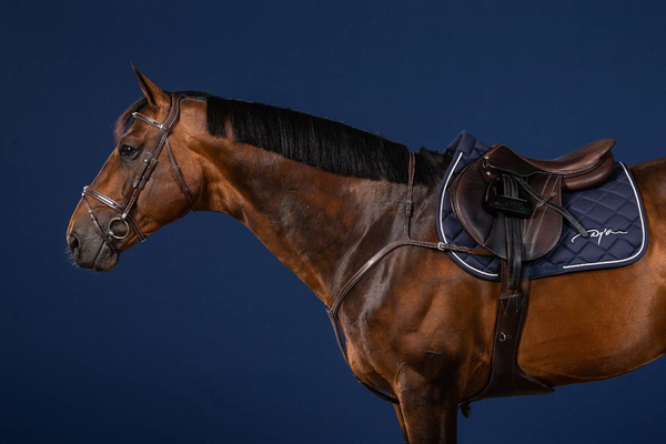Skórzany napierśnik  Dy'on Long Bridge Breastplate US Jumping
