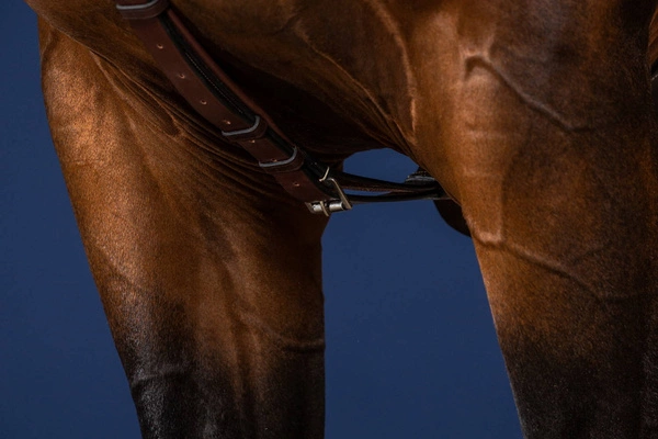 Skórzany napierśnik Dy'on Long Bridge Breastplate US Jumping