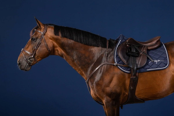 Skórzany napierśnik Dy'on Long Bridge Breastplate US Jumping