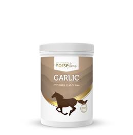 HorseLine Czosnek - 800 g